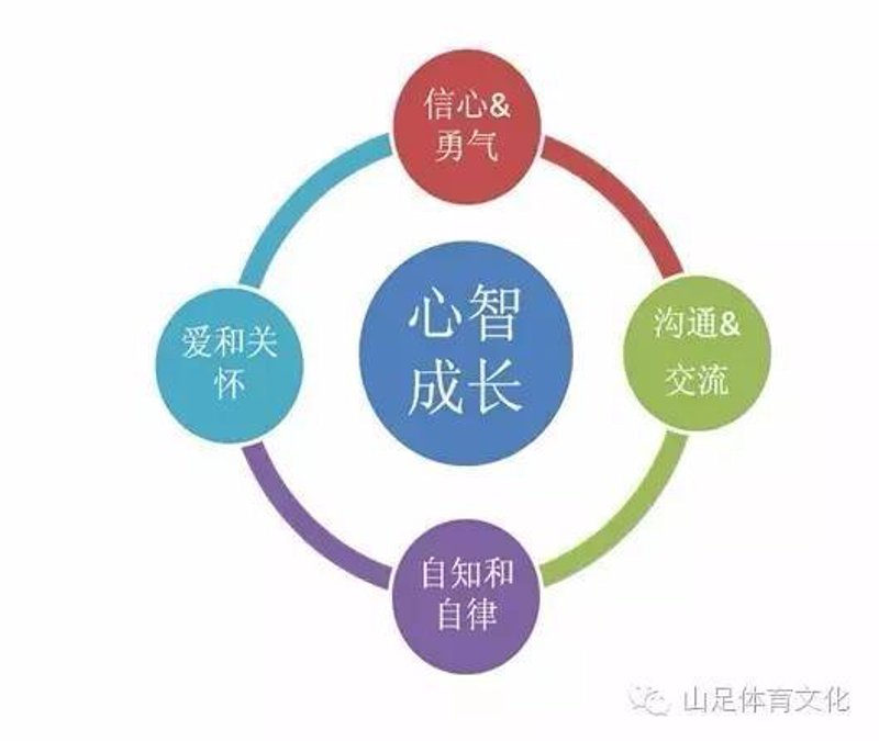 青少年素质教育