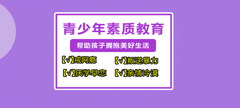 寻找孩子的明行足之路：教育选购攻略